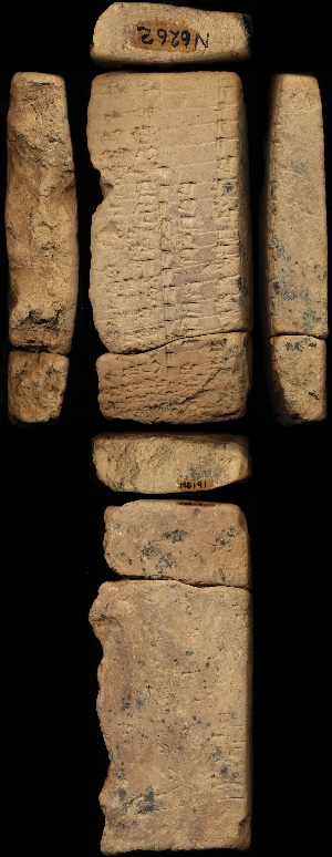 N6191