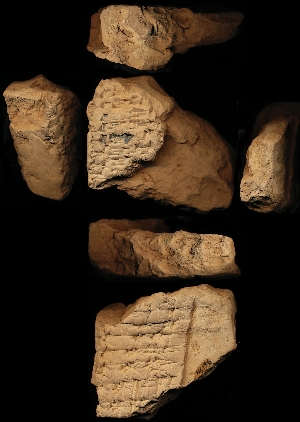 N6196