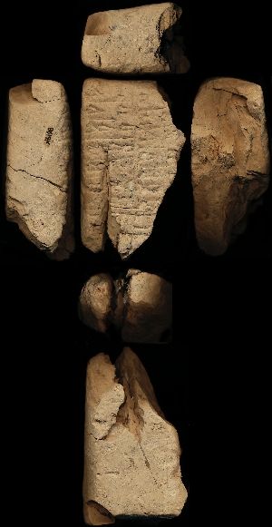 N6198