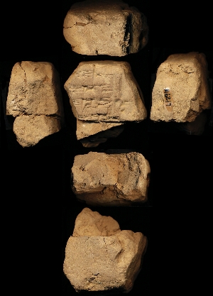 N6217