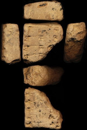 N6246