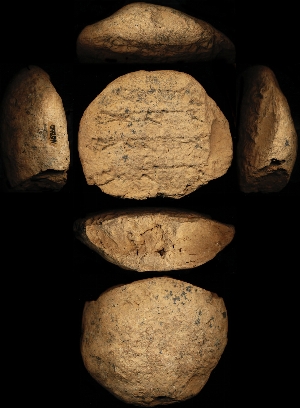 N6260