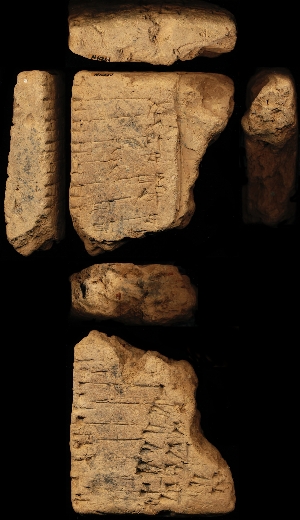 N6261