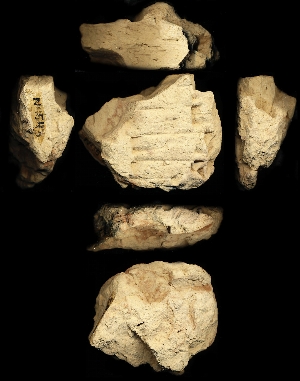 N4543