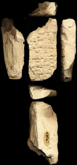 N4563