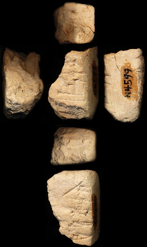 N4599