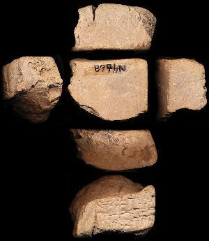 N4668