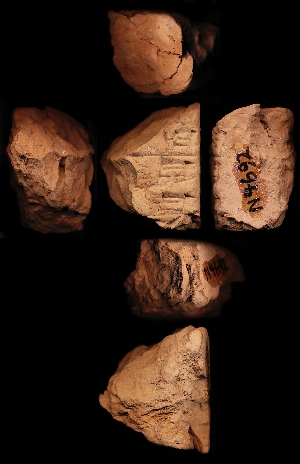 N4692