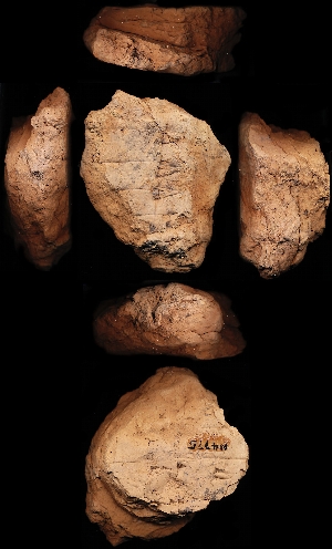 N4775