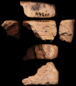 N4800
