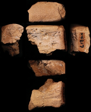 N4817