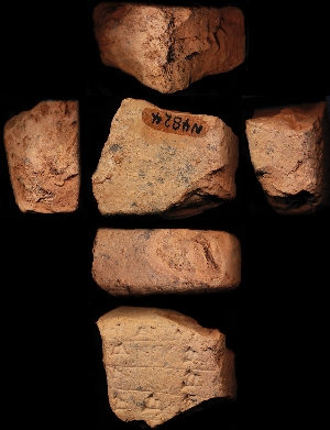 N4824