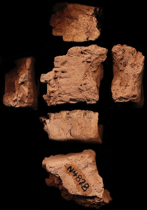 N4828
