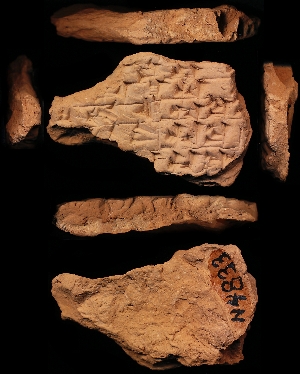 N4833