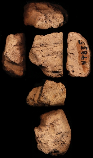 N4835