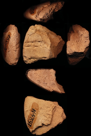 N4897