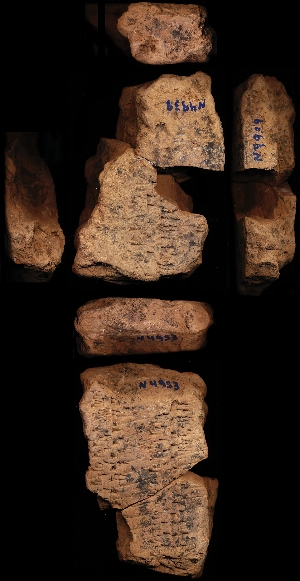 N4939