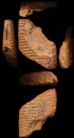 N4950