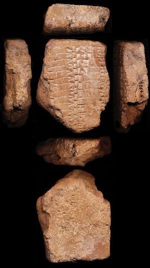 N4955