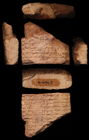 N4965