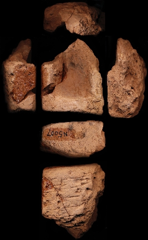 N5007
