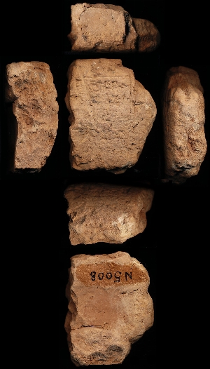 N5008