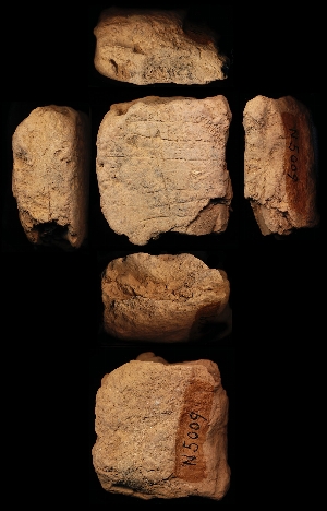N5009