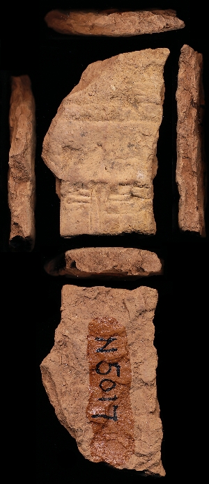 N5017
