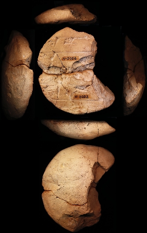 N5025