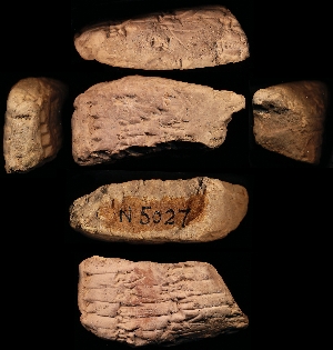 N5027