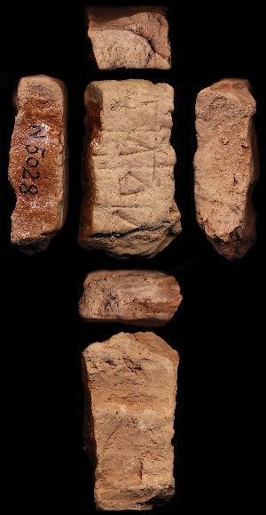 N5028