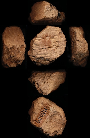 N5029