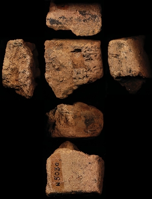 N5030