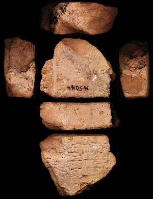 N5044