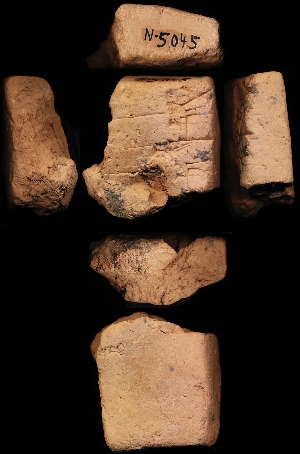 N5045