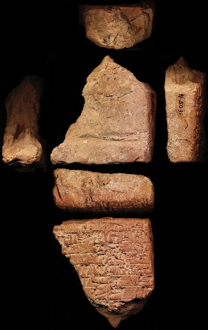 N5091