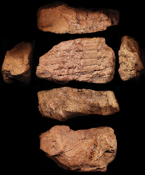 N5095