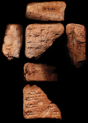N5101
