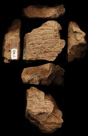 N5119