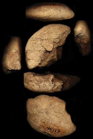 N5127