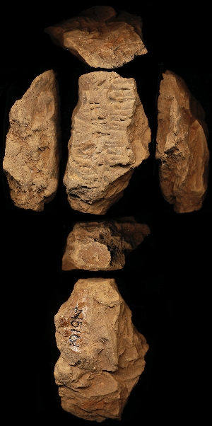 N5161