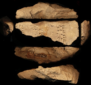 N5183