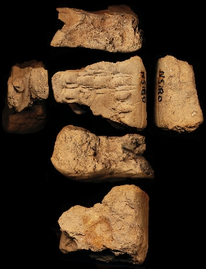 N5180