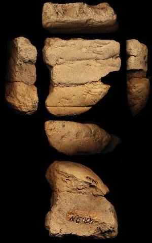 N5185