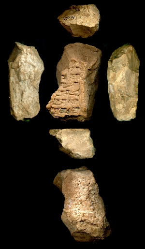 N5191