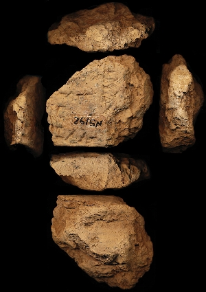N5192