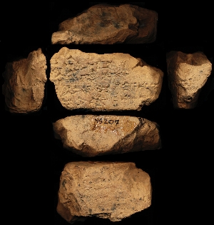 N5207