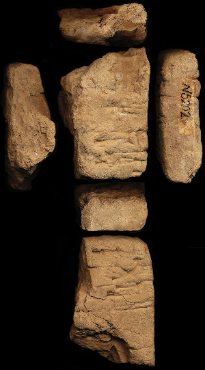 N5202