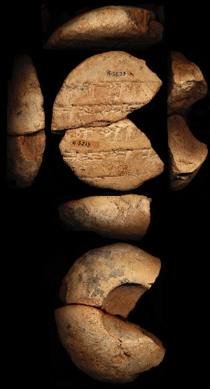 N5219
