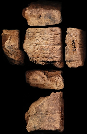 N5240
